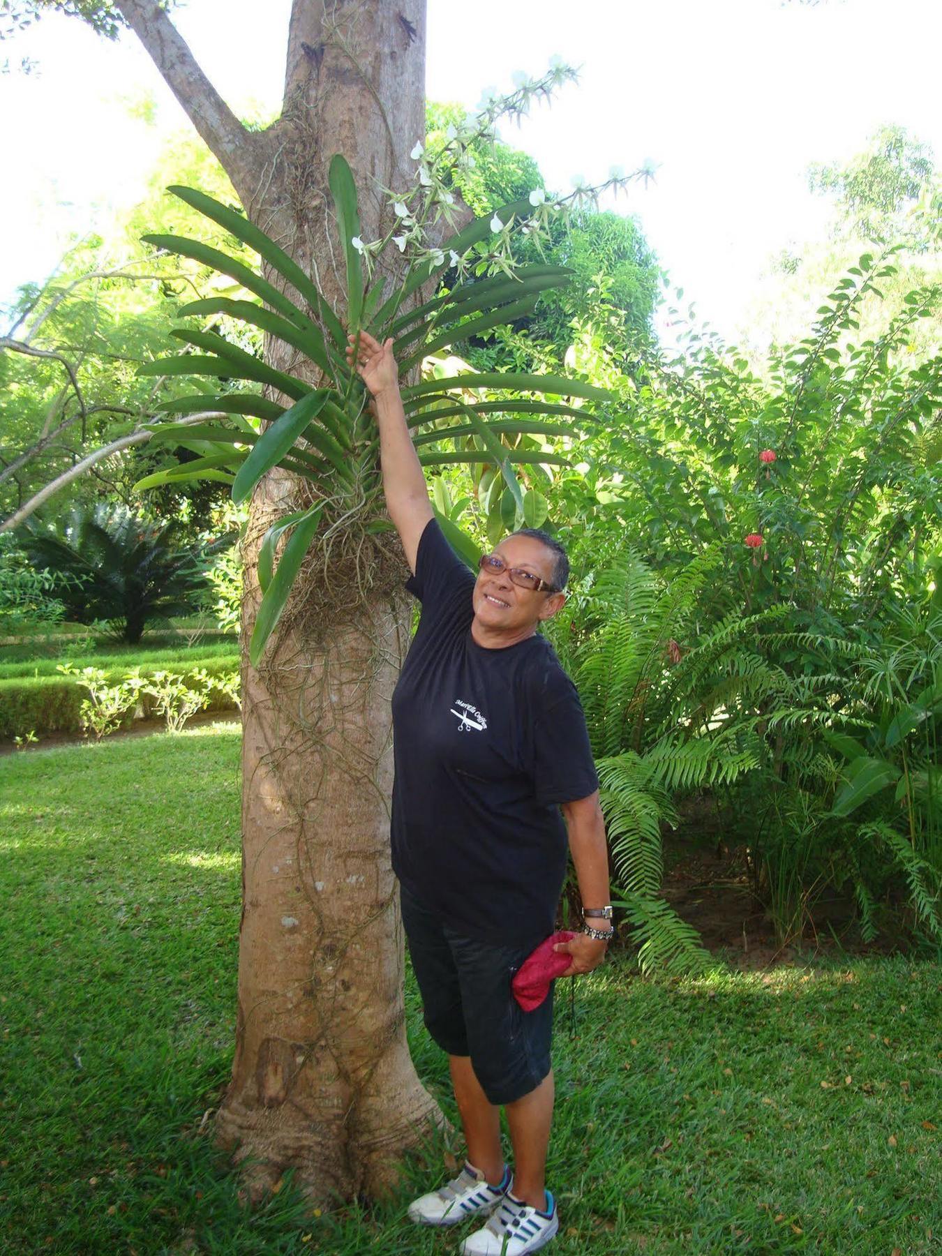 Nosy Be Hotel & Spa Ambaro Bagian luar foto